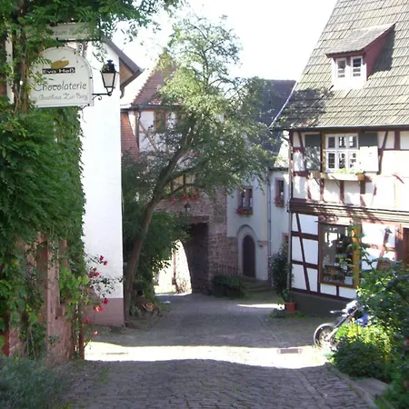 Petrik Apartmán Neckargemünd