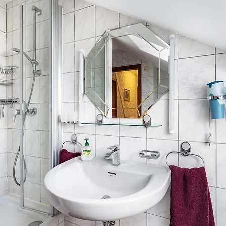 Apartmán Petrik Neckargemünd